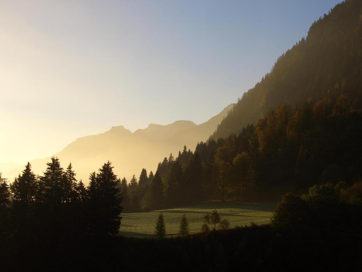 Chalet Edelweiss Lägenhet Pfronten Exteriör bild