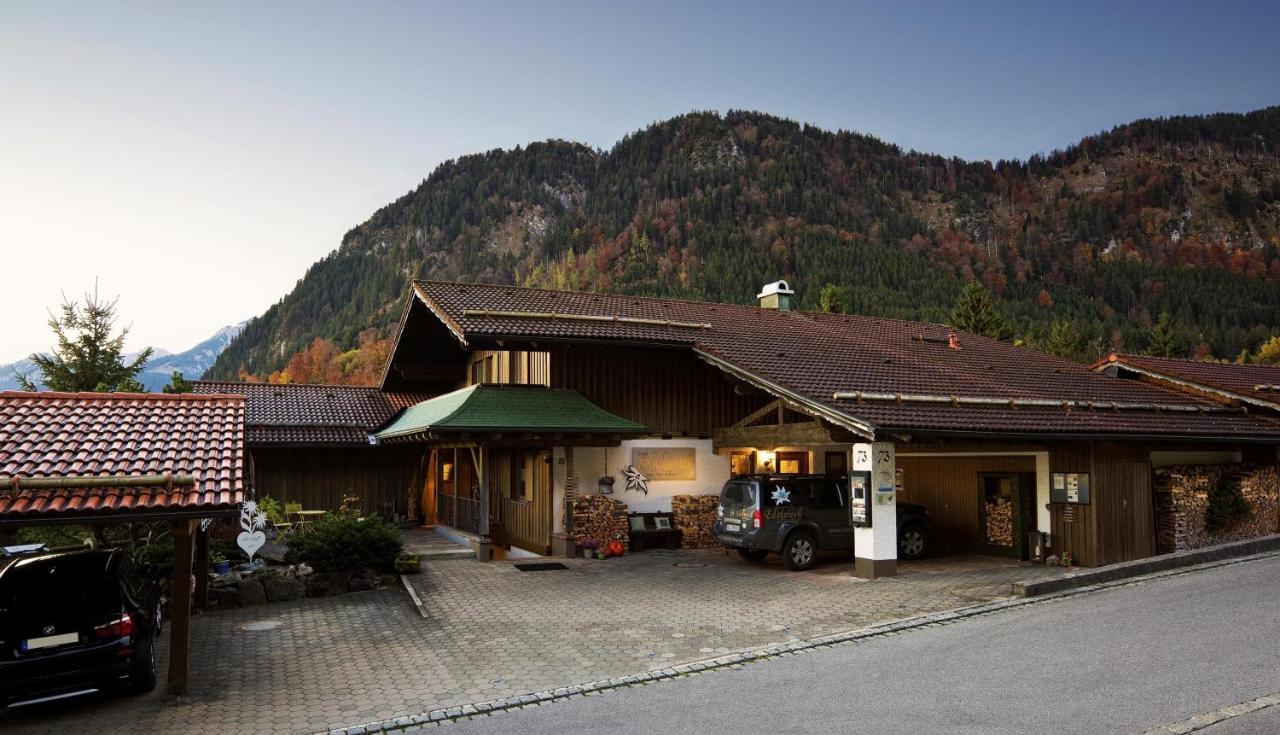 Chalet Edelweiss Lägenhet Pfronten Exteriör bild